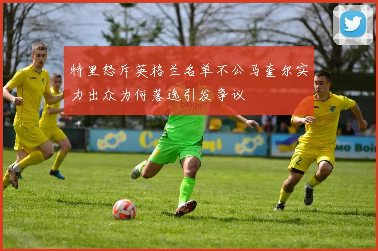 特里怒斥英格兰名单不公马奎尔实力出众为何落选引发争议